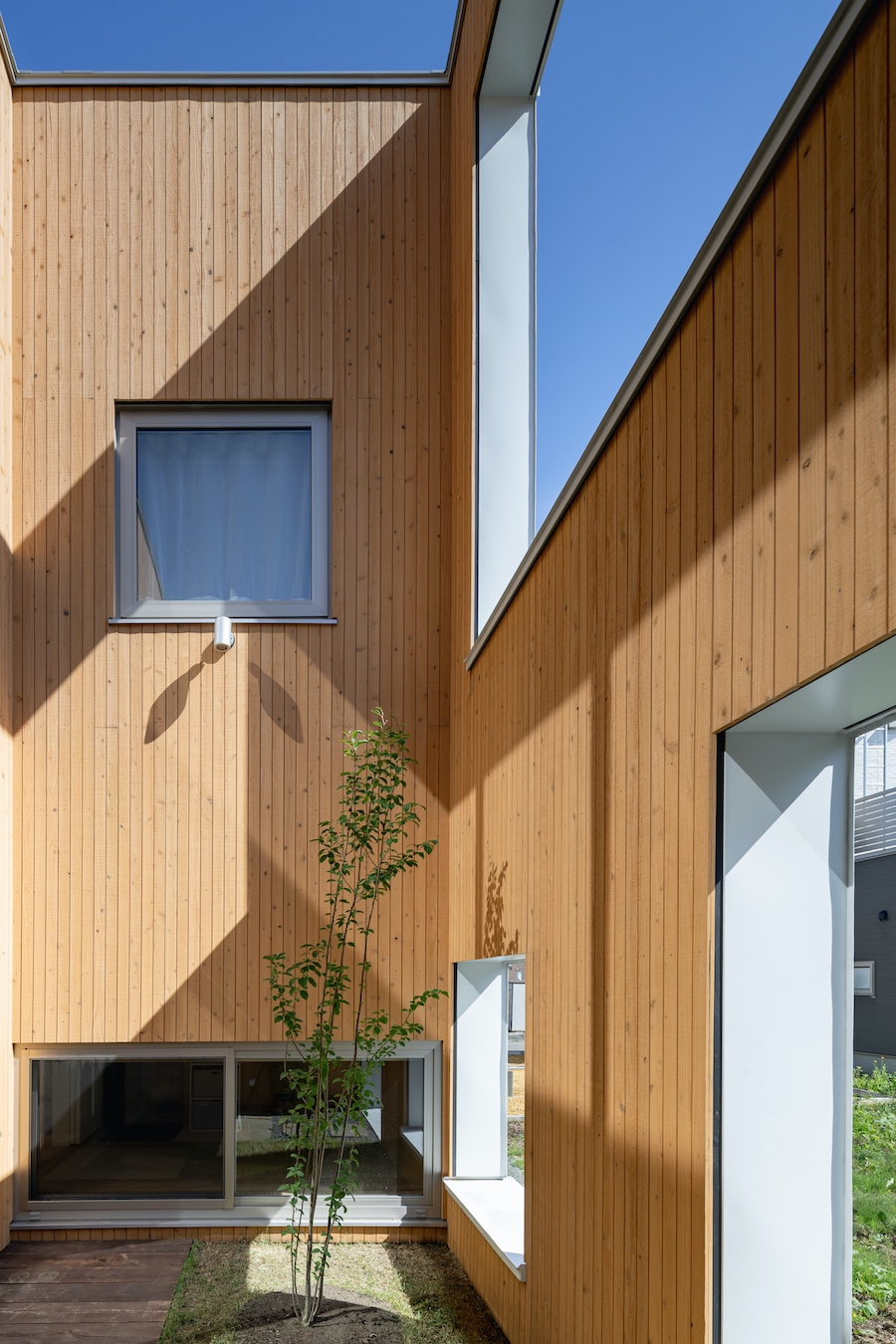 囲い庭の家 of Futoshi Horibe Architects